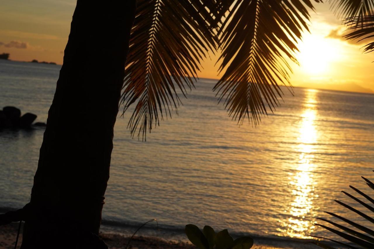Anse Kerlan Beach Chalets المظهر الخارجي الصورة