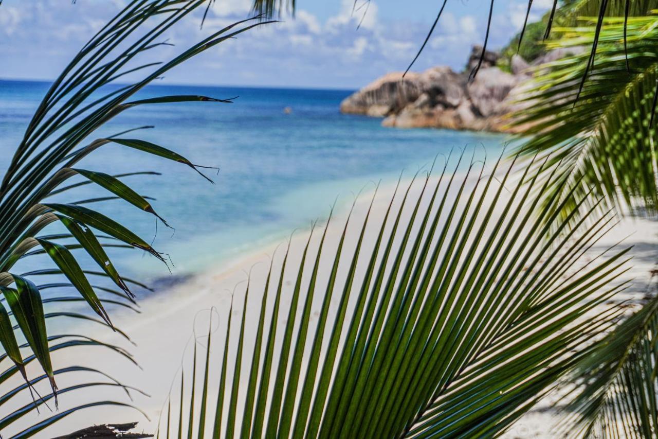 Anse Kerlan Beach Chalets المظهر الخارجي الصورة