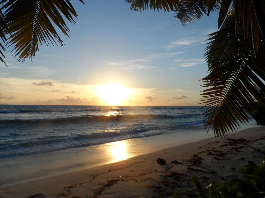Anse Kerlan Beach Chalets المظهر الخارجي الصورة